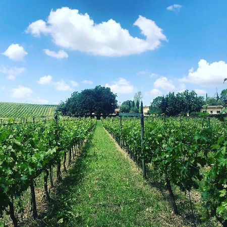 Bed and Breakfast Borgo Del Gelso Olgiata Екстер'єр фото