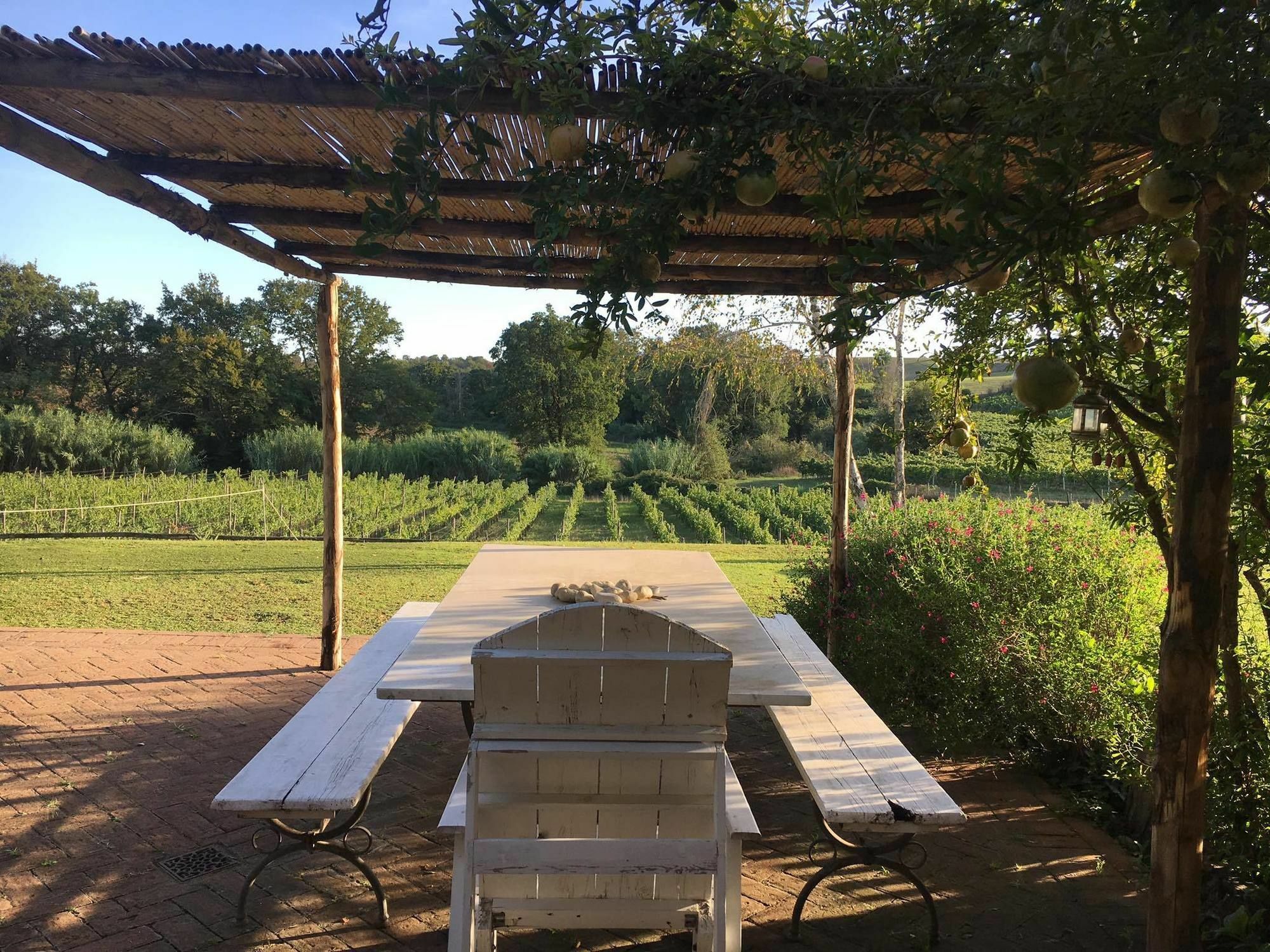 Bed and Breakfast Borgo Del Gelso Olgiata Екстер'єр фото