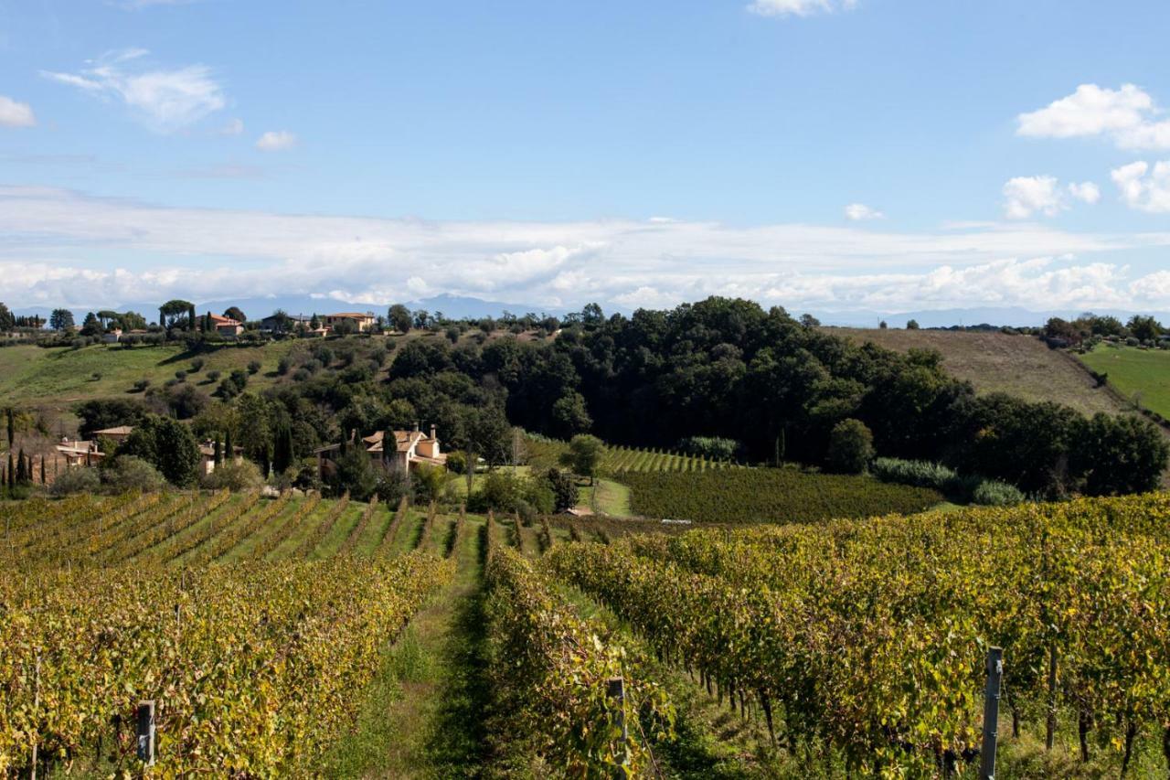 Bed and Breakfast Borgo Del Gelso Olgiata Екстер'єр фото